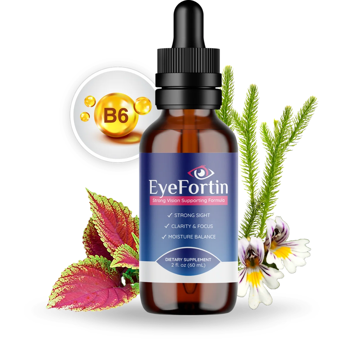 EyeFortin