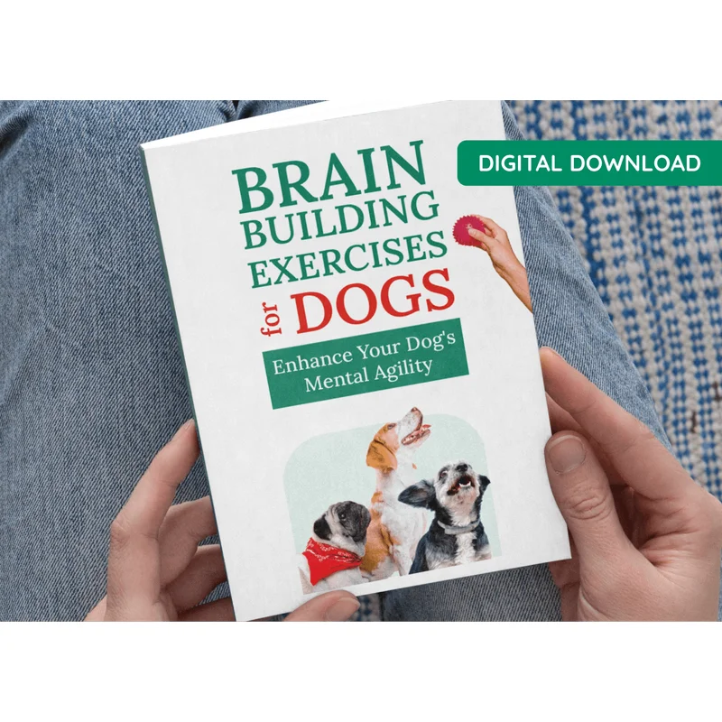 BONUS #2 - Brain Building Exercises for Dogs: Enhance Your Dog's Mental Agility