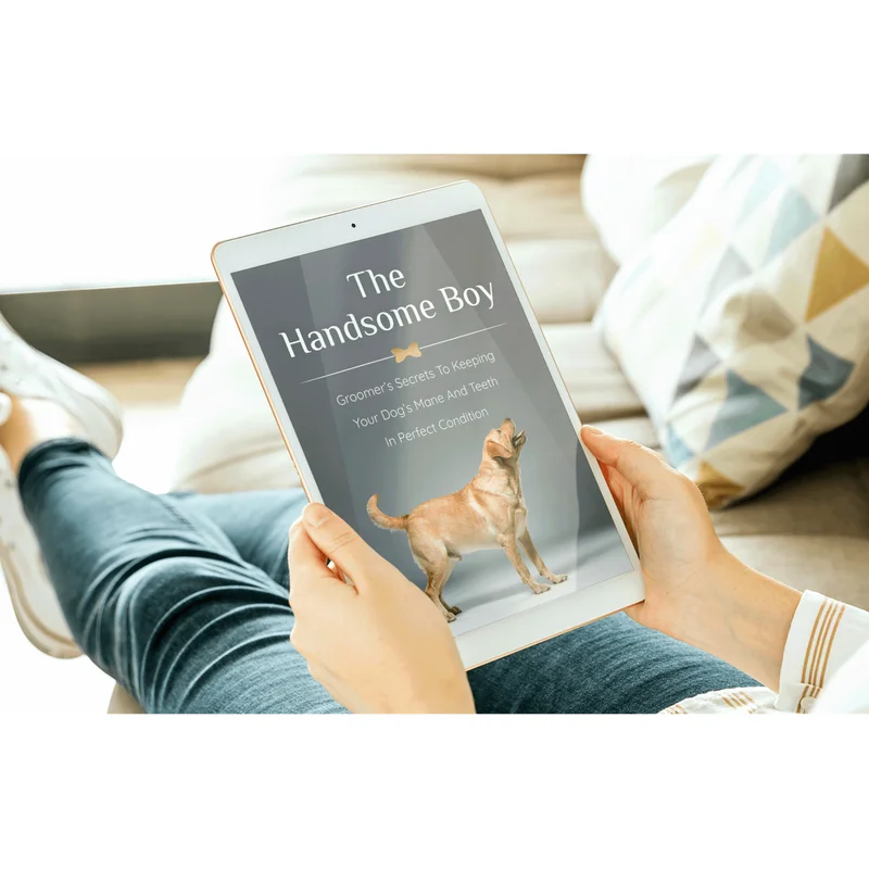 BONUS #1 - The handsome boy groomer’s secrets to keeping your dog’s mane and teeth in perfect condition